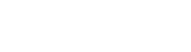 DM LITE